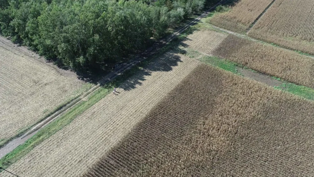 Ha körbeszegjük az AKG-s tábláinkat óriási plusz bevételre tehetünk szert