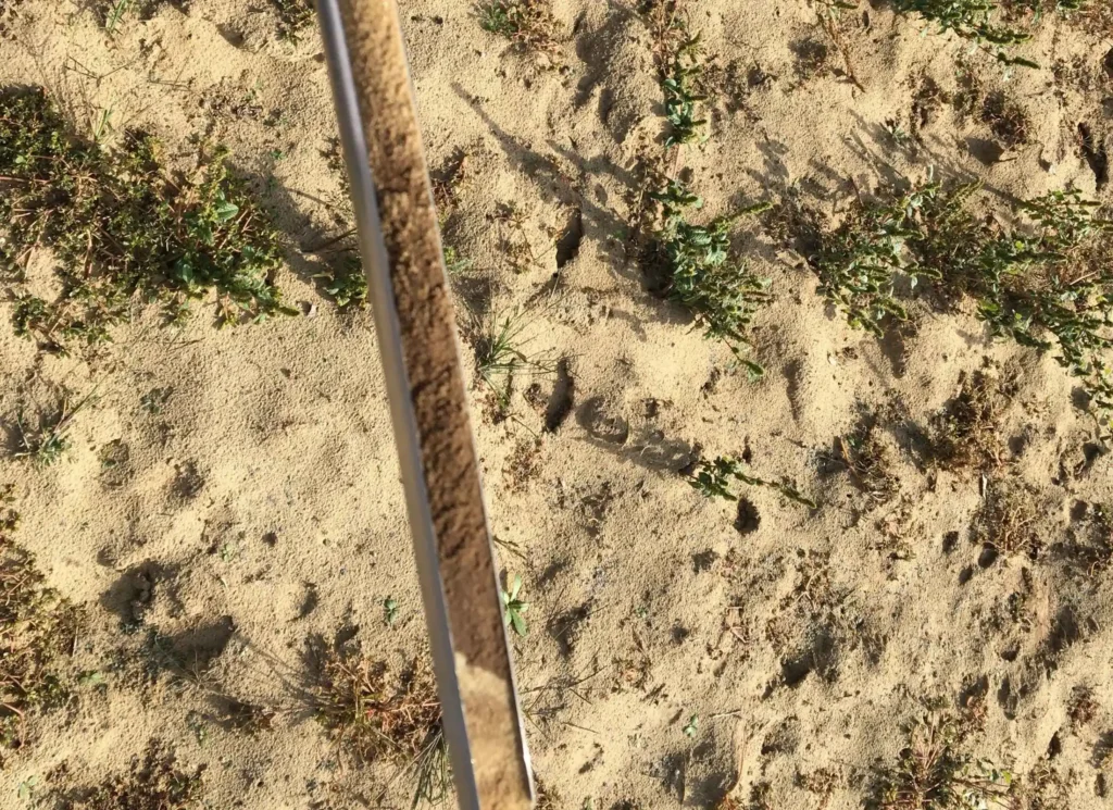 Talajmintatát szinte bármivel lehet venni. Nem kell túlbonyolítani elegendő egy vödör és egy ásó is