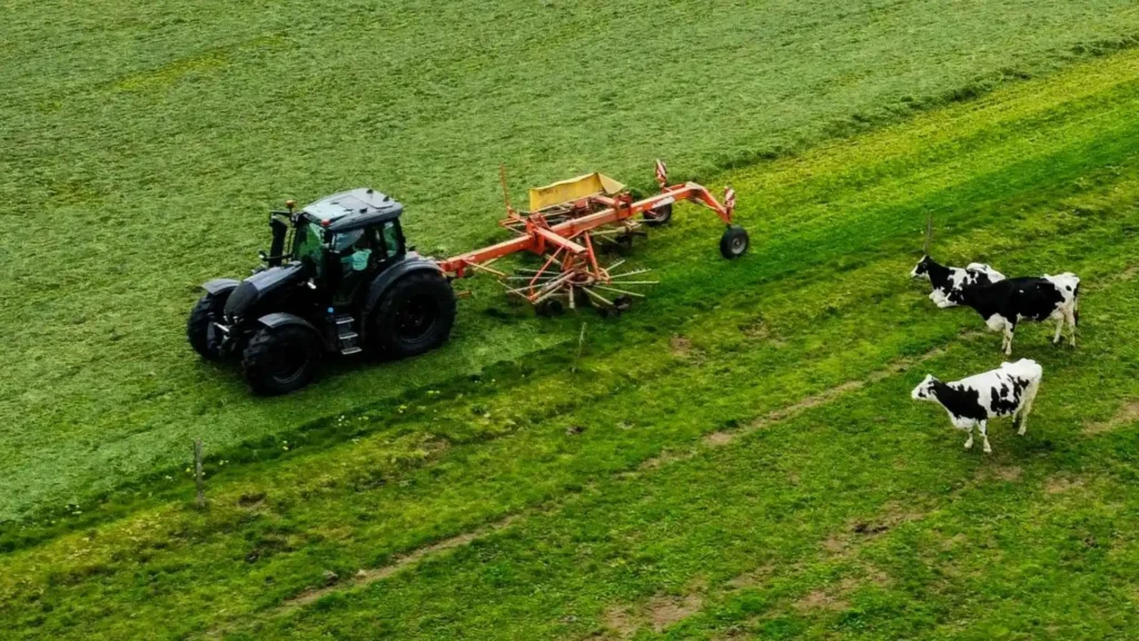 Egyes vállalások esetében a kaszálási szándékunkat 5 munkanappal a kaszálás előtt meg kell tennünk.