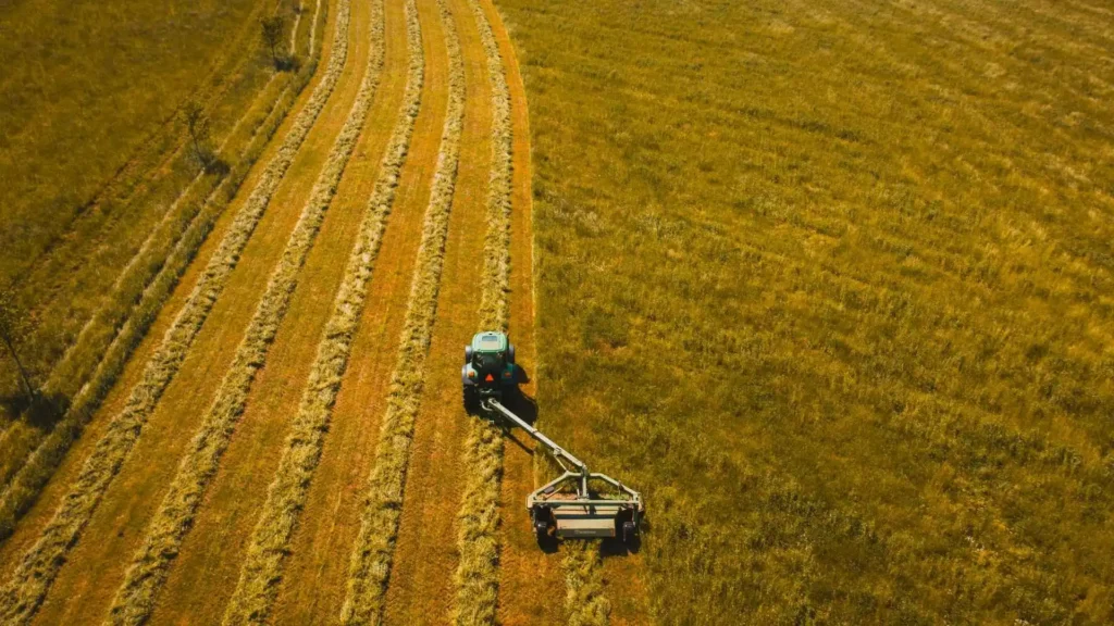 AÖP extenzív gyep kaszálása 2026-ban