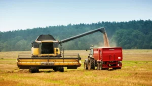 2026-os agrártámogatási előlegek – BISS, AÖP és termeléshez kötött támogatások